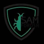 SAM FROSH Profile Picture