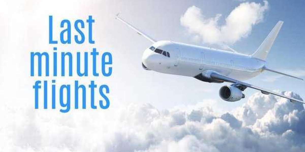 Finding the Best Site for Last Minute Flights: Top Tips for Spontaneous Travelers