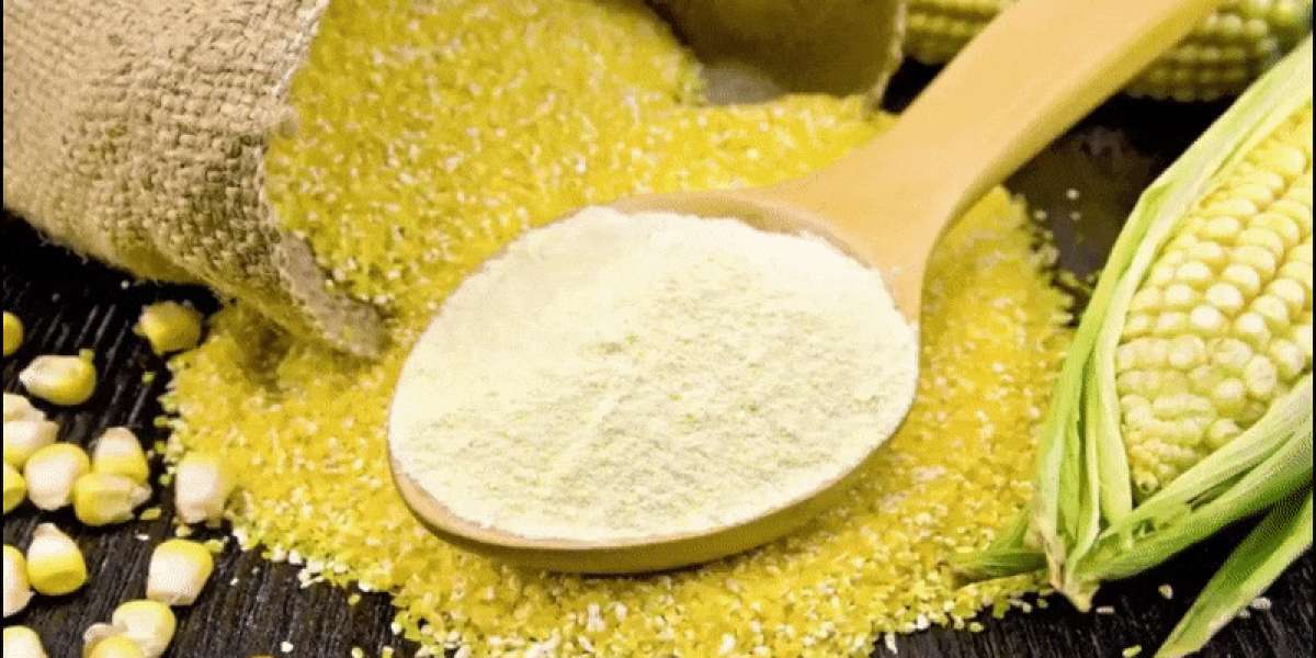 Corn Starch Market Size Anticipated to Grow at CAGR of 6.60% by 2032