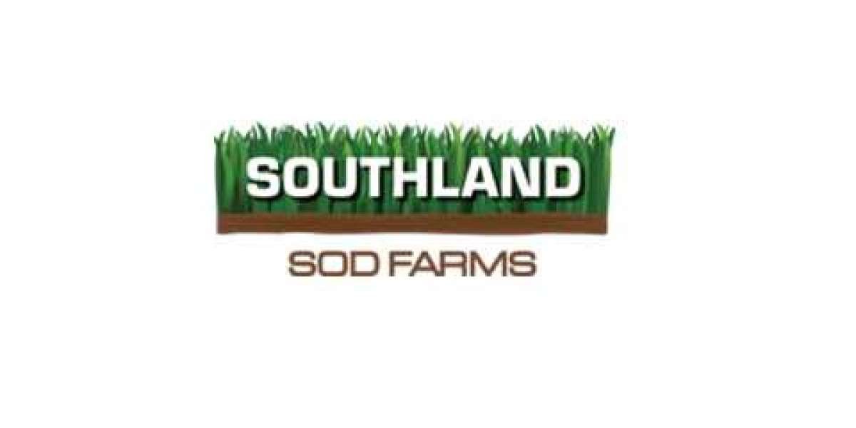 SOD Orange County: Enhancing Homes with Quality and Expertise