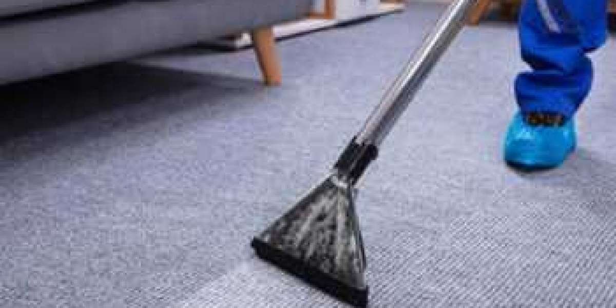 Professional Carpet Cleaning: A Pillar of Elegant Home Design