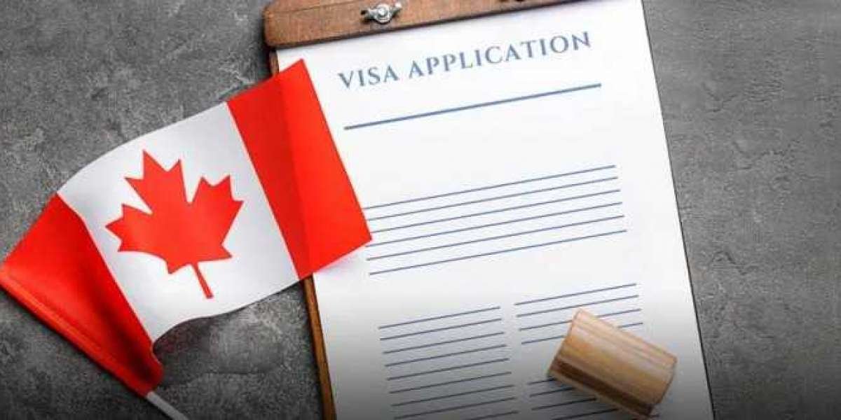 How an Immigration Consultant in Regina Can Simplify Your Visa Application Process