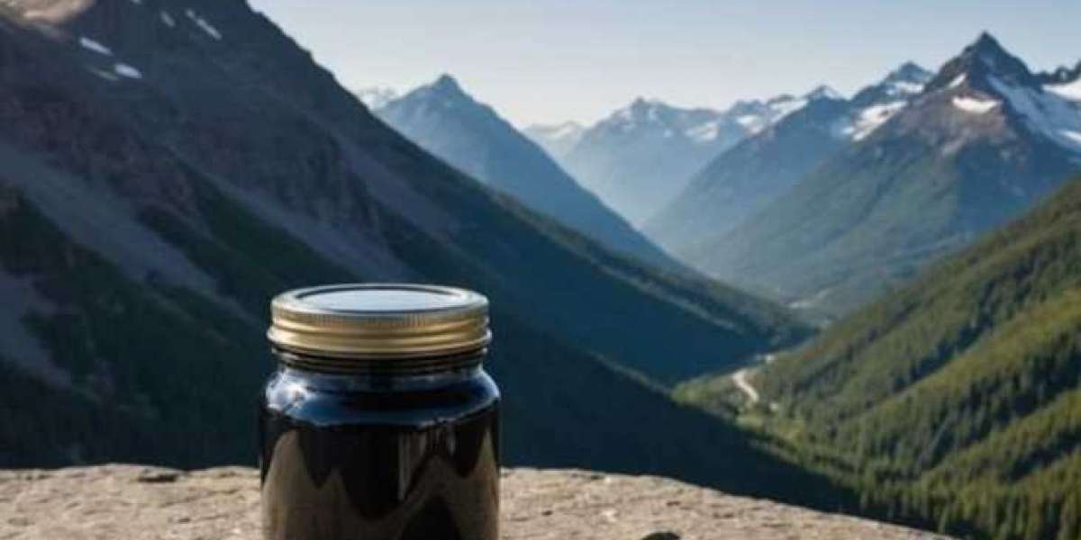 Boost Your Energy And Wellness With Shilajit