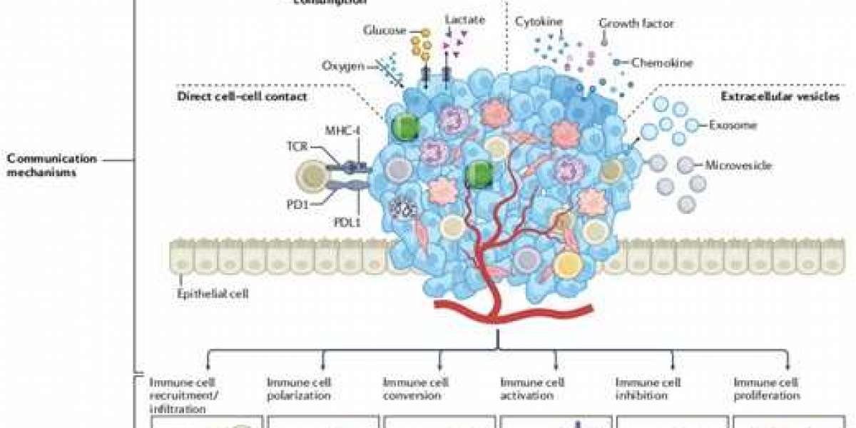 Alfa Cytology Announces Cancer Diagnostic Biomarker Development Services to Enhance Precision in Oncology Research