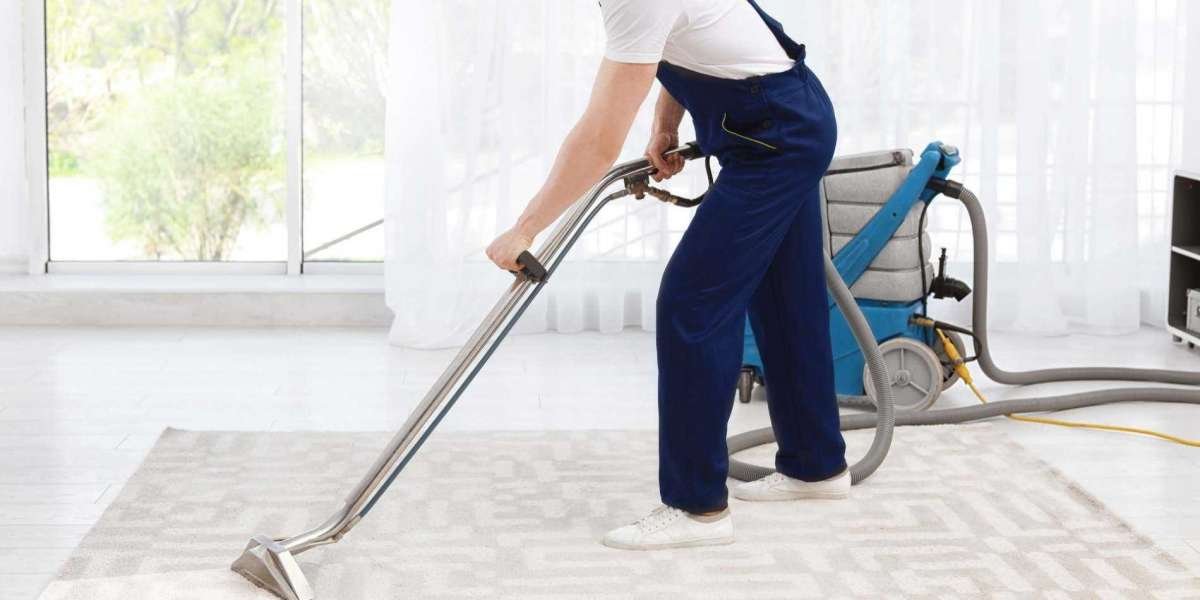 The Ultimate Guide to Professional Carpet Cleaning Benefits for Your Home