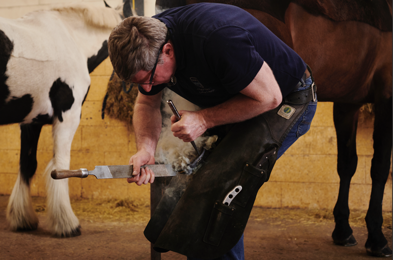 Farrier Protective Gear: 5 Reasons Quality Chaps Are Essential – Covering All Things