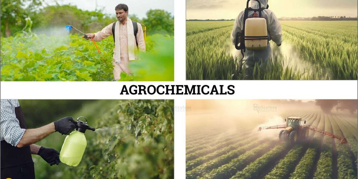 Market Trends: Agrochemicals Valued at $338.49 Billion by 2030