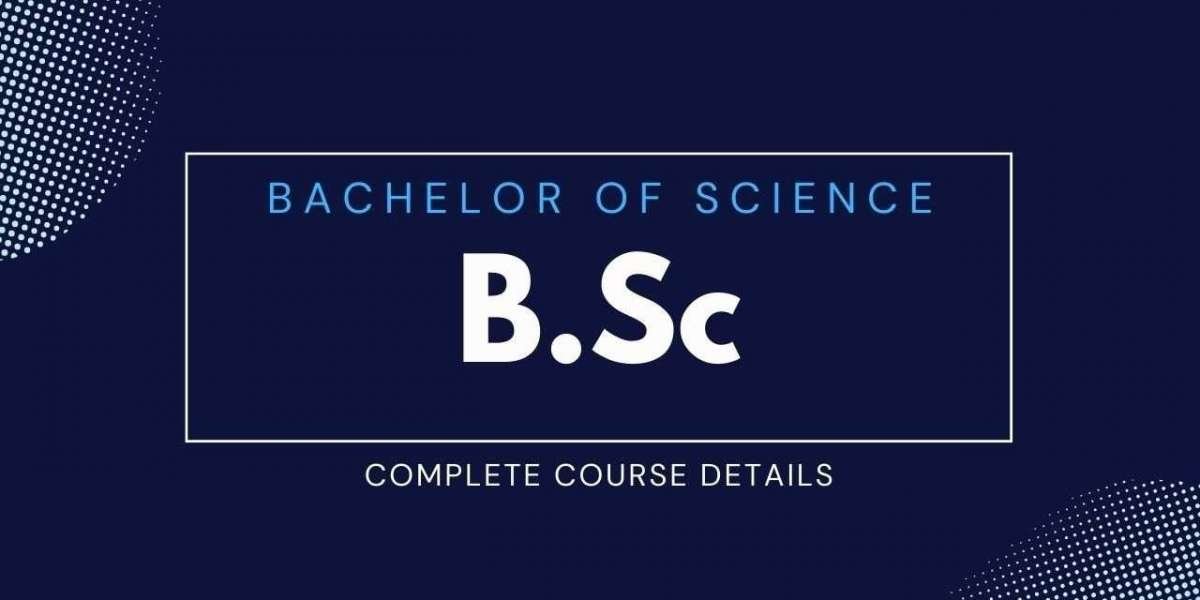 The Ultimate Guide to Succeeding in Your BSc Program