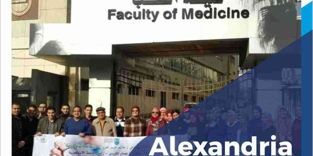 What is the fee for MBBS at Alexandria University?