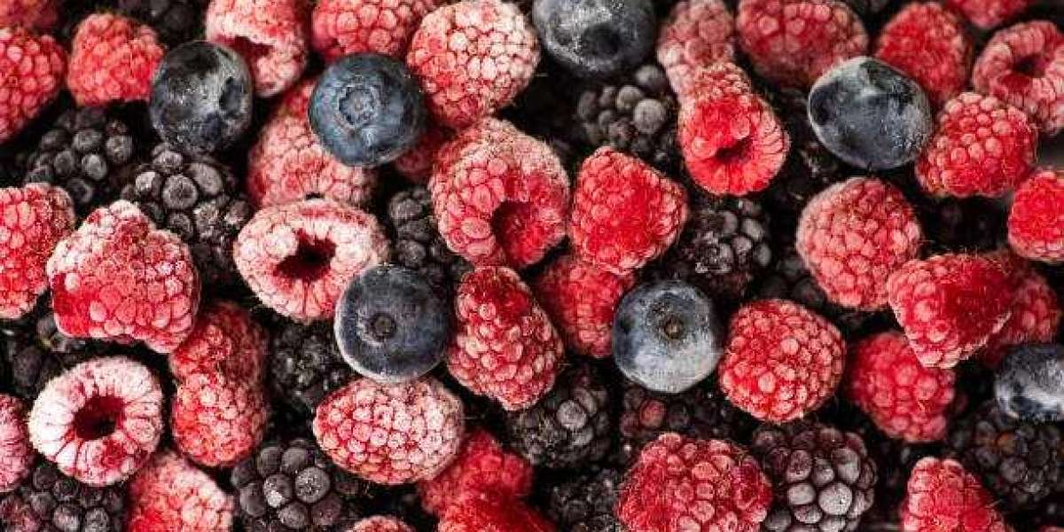 Organic Frozen Berries Market Trends: Size, Share, and Insights for 2032 Growth