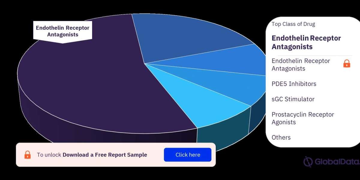 Pulmonary Arterial Hypertension (PAH) Market: Trends, Growth, and Future Outlook