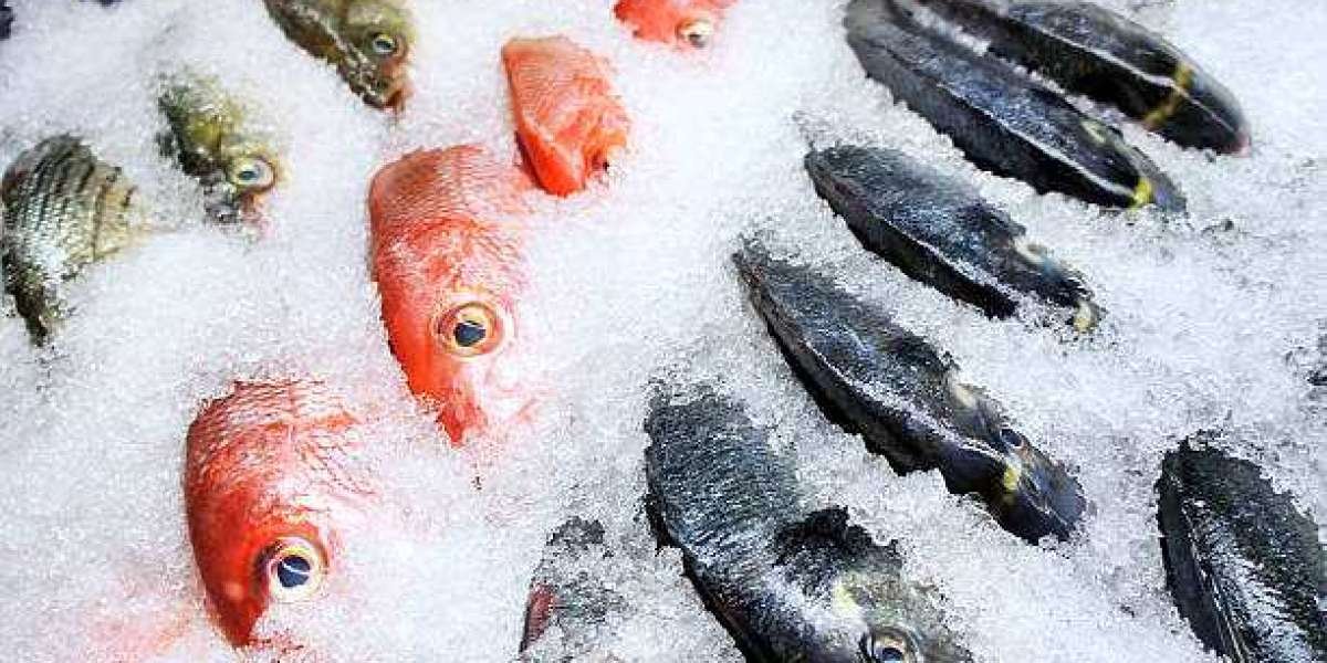 Frozen Seafood Market Analysis: Key Trends, Size, and Share Projections 2032