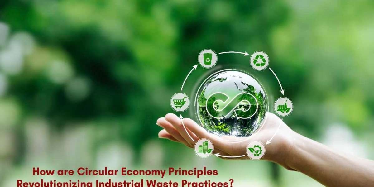 How are Circular Economy Principles Revolutionizing Industrial Waste Practices?