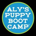 Alyspuppybootcamp