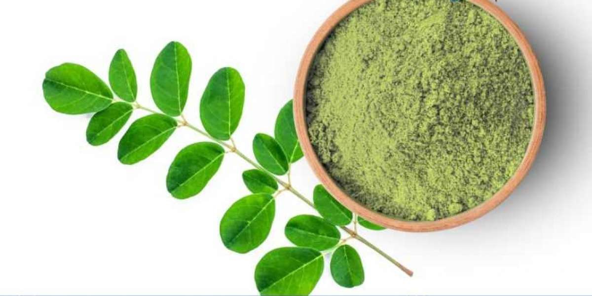 Alfalfa Grass Powder Market Size, Share, Trends & Growth | 2034