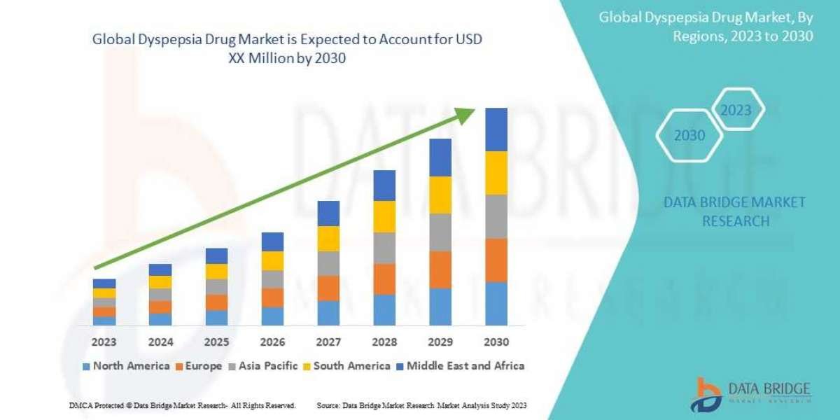 Dyspepsia Drug Market Size, Share, Trends, Key Drivers, Demand and Opportunity Analysis 2030