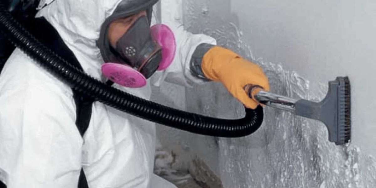 Expert Mold Remediation Services in Los Angeles | Safe & Effective Solutions