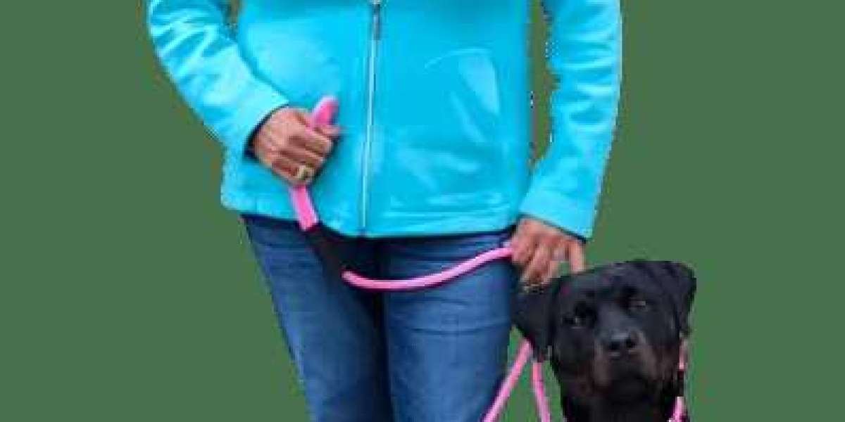 Perfect Training & Adventures with Good Walker Long Line Leash